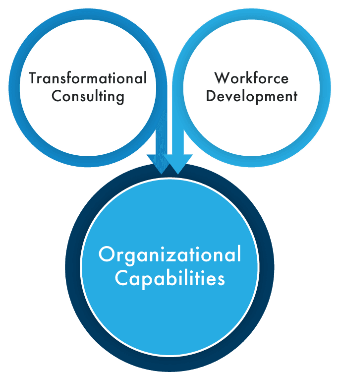 Global Lynx Ecosystem of Workforce Development Global Lynx Ecosystem of Workforce Development